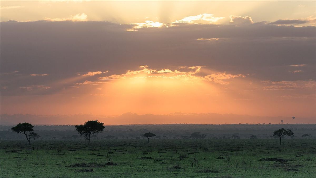 Sun rays breaking through clouds over the Serengeti plains at sunrise, with two hot-air balloons in the distance