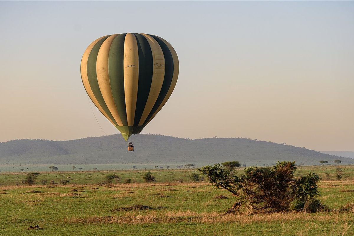 Puto la hewa moto lenye mistari likitua kwenye nyanda za Serengeti muda mfupi baada ya jua kuchomoza
