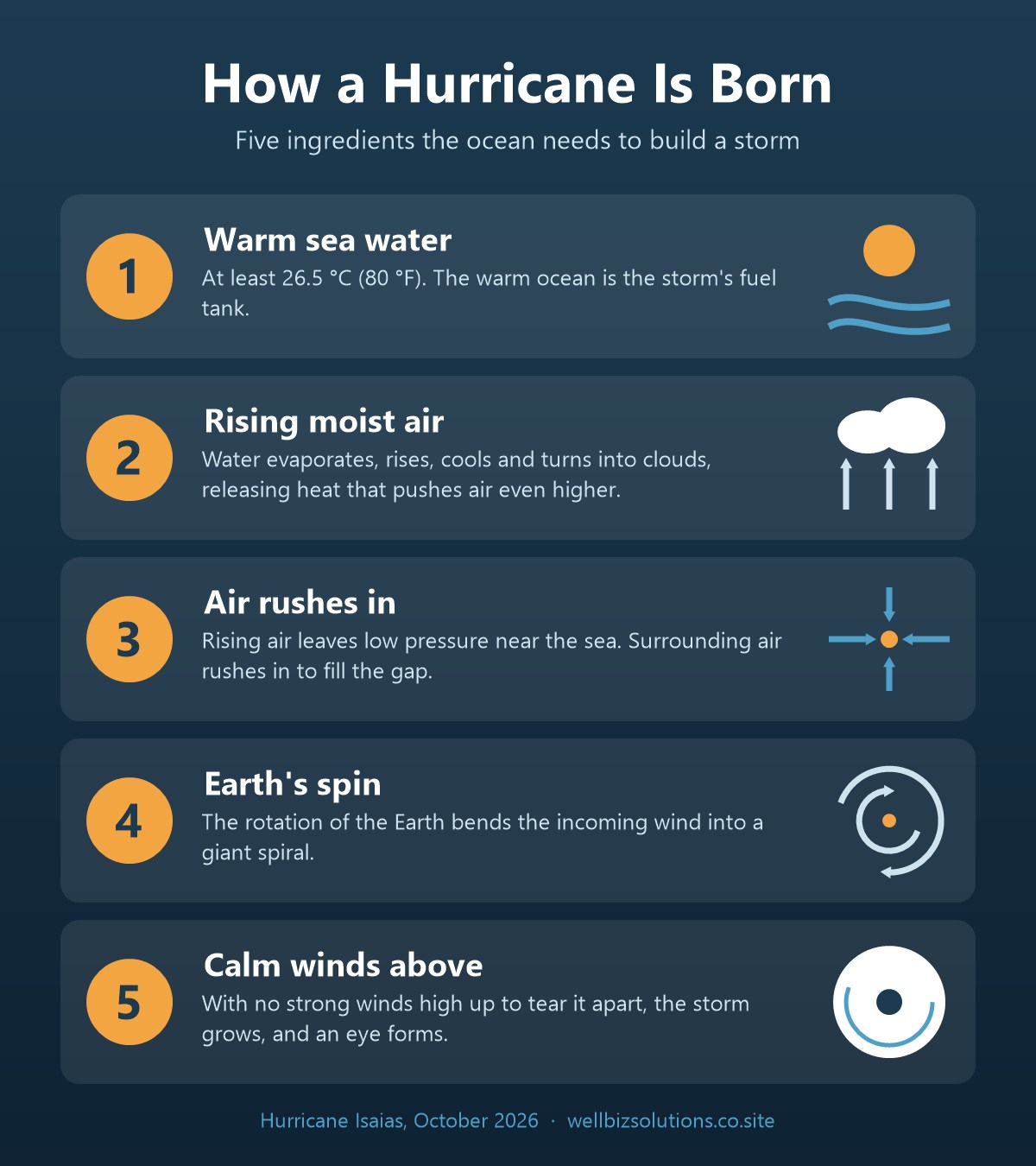 Infographic showing the five steps of how a hurricane is born: warm sea water, rising moist air, air rushing in, Earth's spin and calm winds above